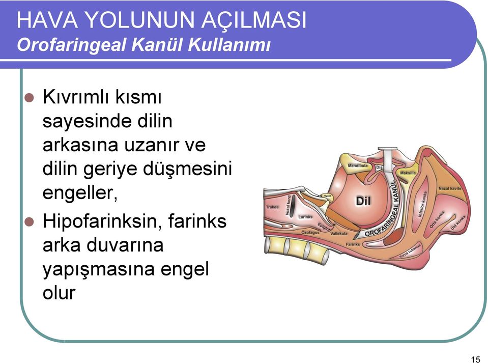 arkasına uzanır ve dilin geriye düģmesini