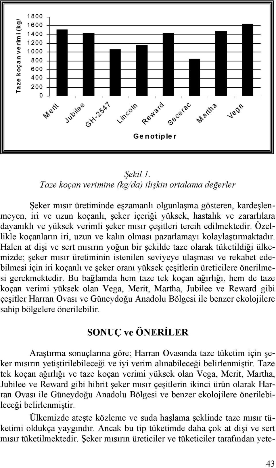 dayanıklı ve yüksek verimli şeker mısır çeşitleri tercih edilmektedir. Özellikle koçanların iri, uzun ve kalın olması pazarlamayı kolaylaştırmaktadır.