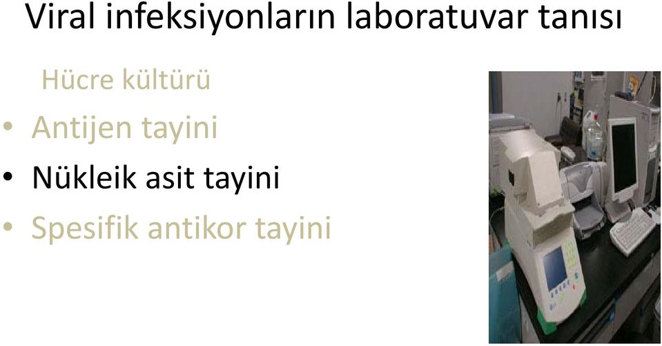 kültürü Antijen tayini