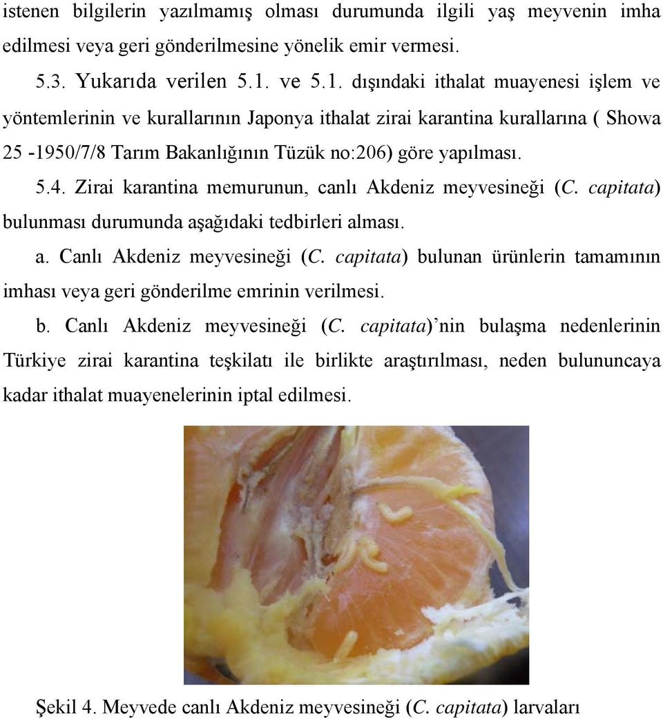 Zirai karantina memurunun, canlı Akdeniz meyvesineği (C. capitata) bulunması durumunda aşağıdaki tedbirleri alması. a. Canlı Akdeniz meyvesineği (C.