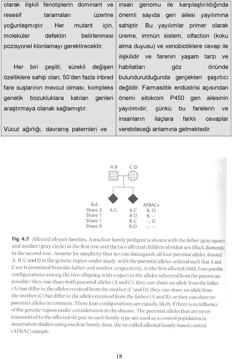 Vücut ağırlığı, davranış paternleri ve insan genomu ile karşılaştırıldığında önemli sayıda gen ailesi yayılımına sahiptir.