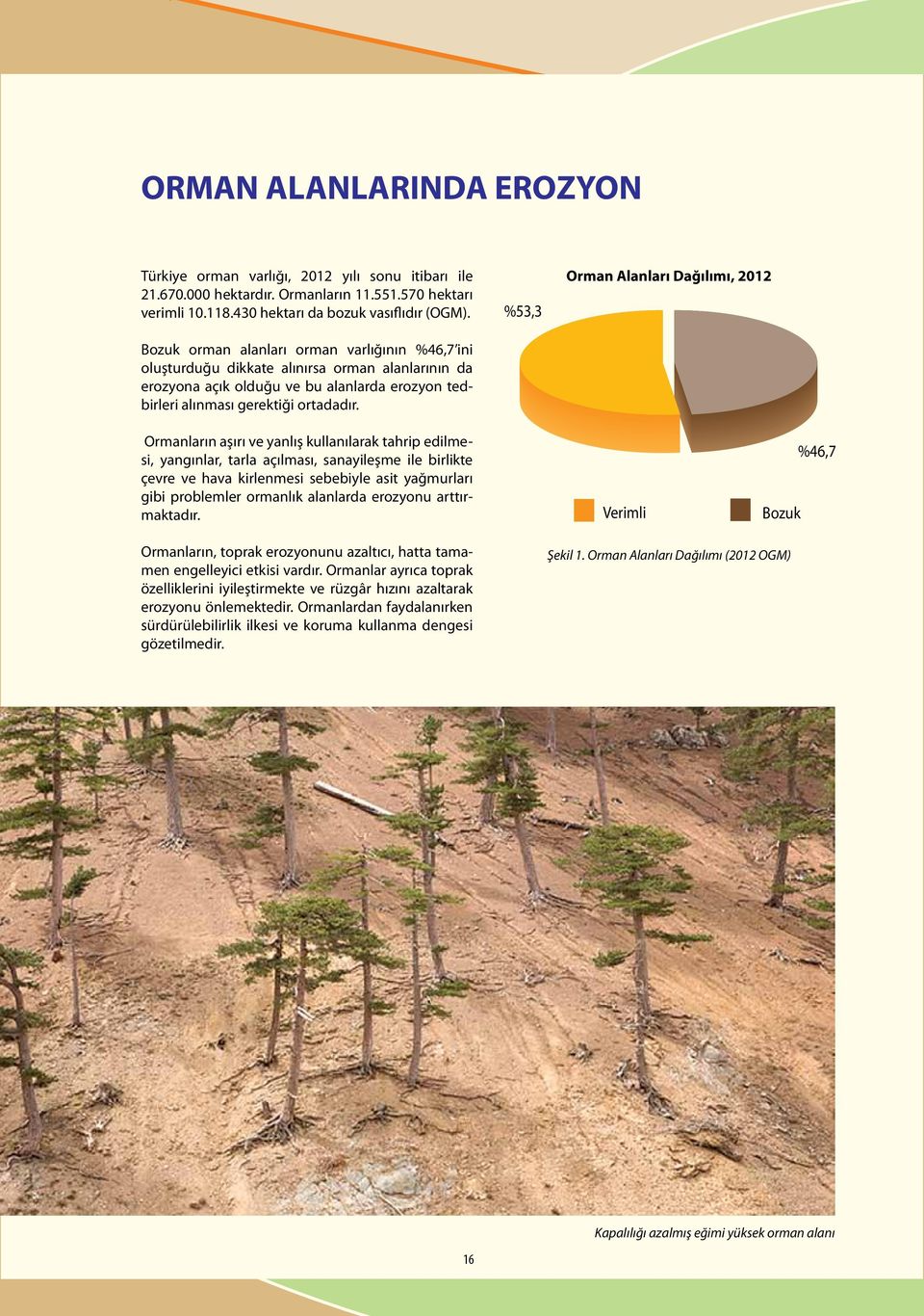 Bozuk orman alanları orman varlığının %46,7 ini oluşturduğu dikkate alınırsa orman alanlarının da erozyona açık olduğu ve bu alanlarda erozyon tedbirleri alınması gerektiği ortadadır.