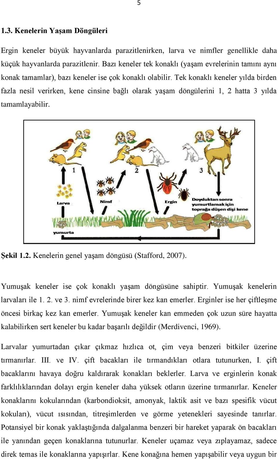 Tek konaklı keneler yılda birden fazla nesil verirken, kene cinsine bağlı olarak yaşam döngülerini 1, 2 hatta 3 yılda tamamlayabilir. Şekil 1.2. Kenelerin genel yaşam döngüsü (Stafford, 2007).