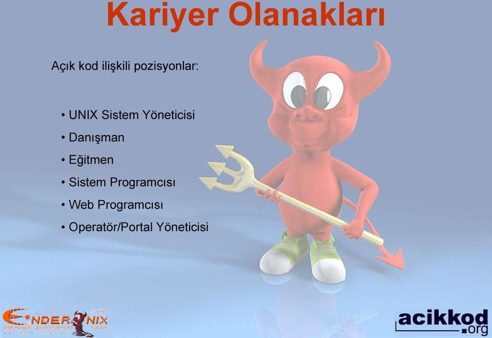 Danışman Eğitmen Sistem Programcısı