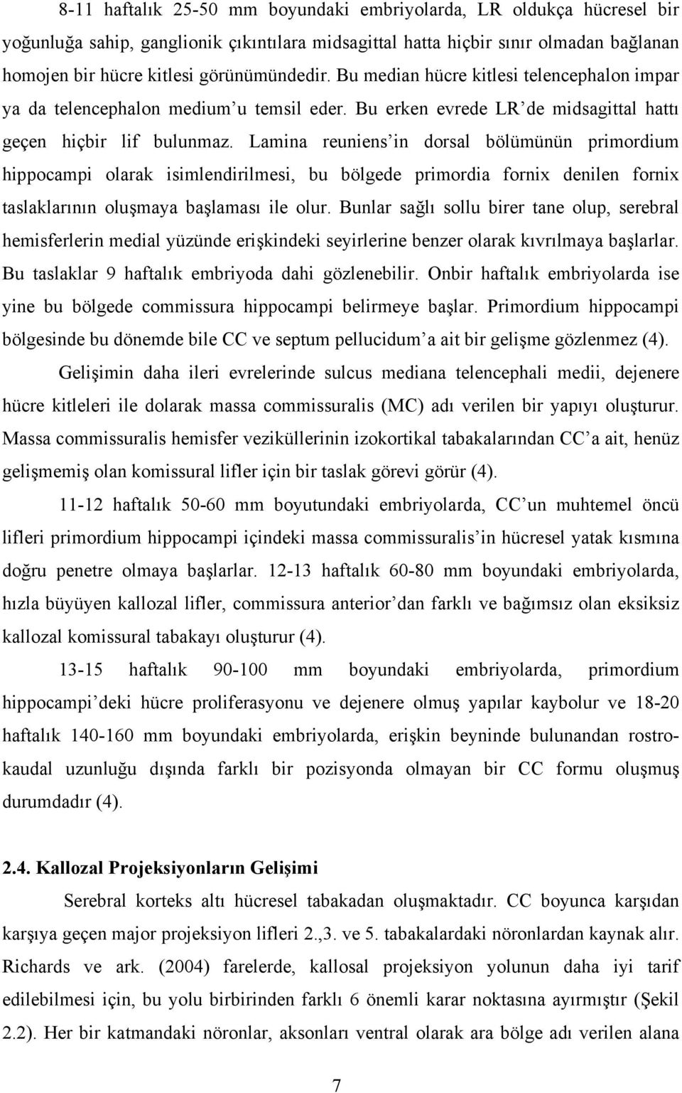 Lamina reuniens in dorsal bölümünün primordium hippocampi olarak isimlendirilmesi, bu bölgede primordia fornix denilen fornix taslaklarının oluşmaya başlaması ile olur.