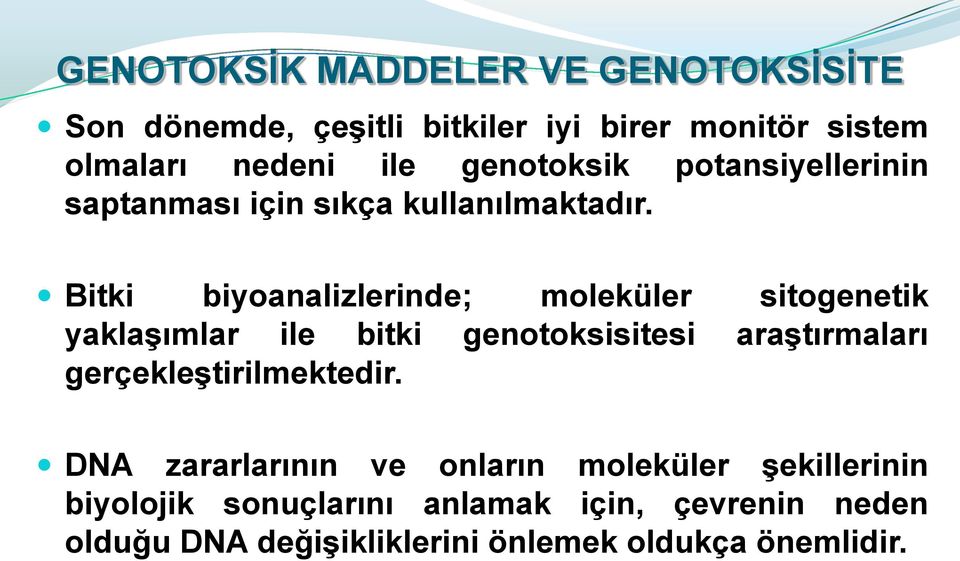 Bitki biyoanalizlerinde; moleküler sitogenetik yaklaşımlar ile bitki genotoksisitesi araştırmaları