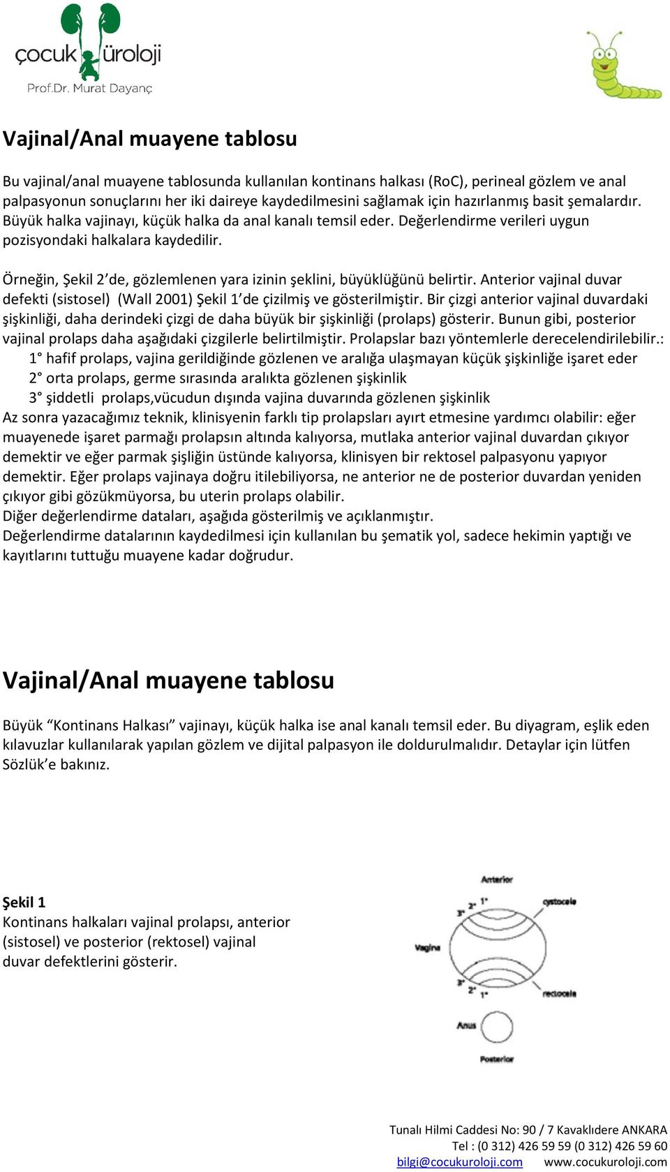 Örneğin, Şekil 2 de, gözlemlenen yara izinin şeklini, büyüklüğünü belirtir. Anterior vajinal duvar defekti (sistosel) (Wall 2001) Şekil 1 de çizilmiş ve gösterilmiştir.