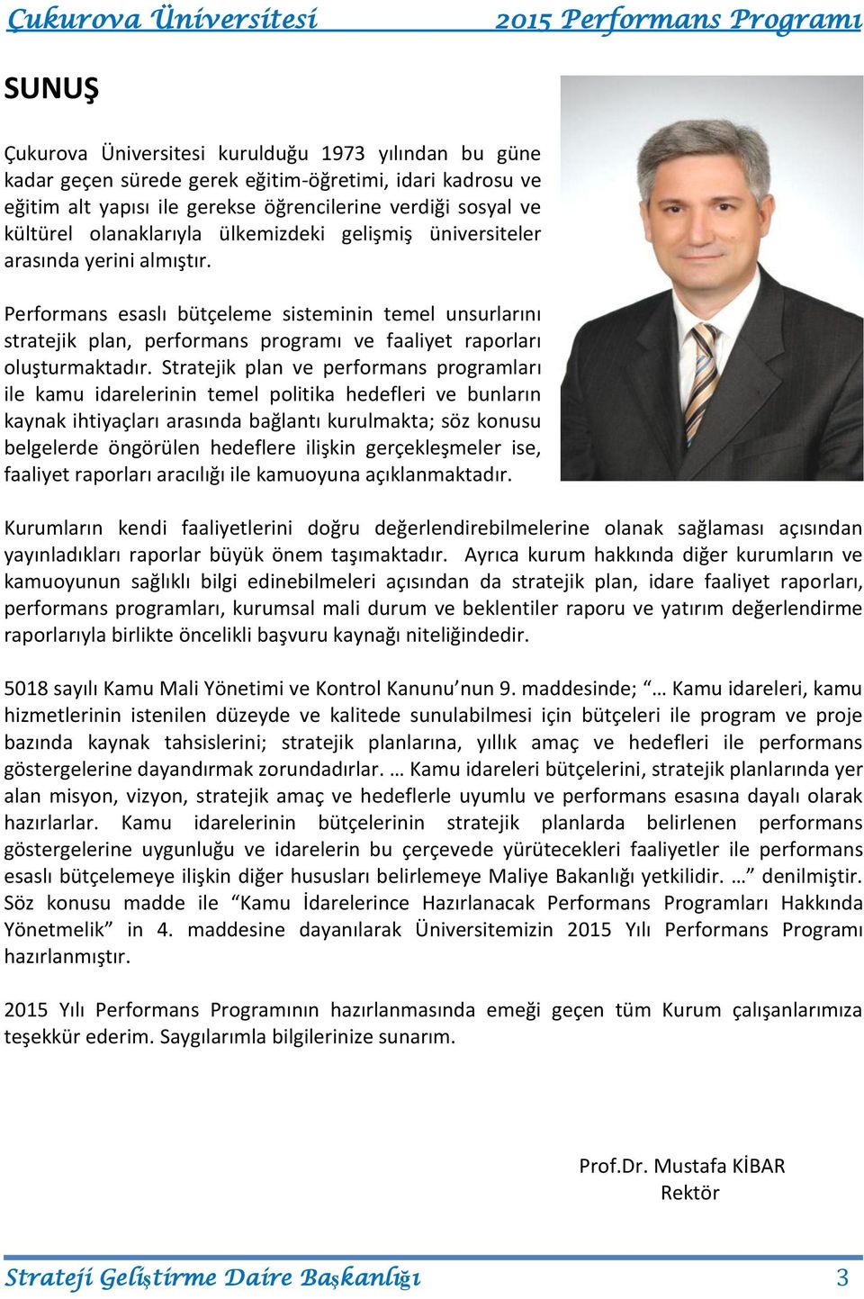 Performans esaslı bütçeleme sisteminin temel unsurlarını stratejik plan, performans programı ve faaliyet raporları oluşturmaktadır.