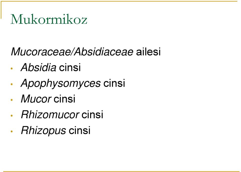 Absidia cinsi Apophysomyces