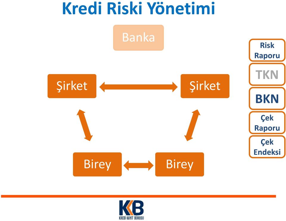 Birey Şirket Risk