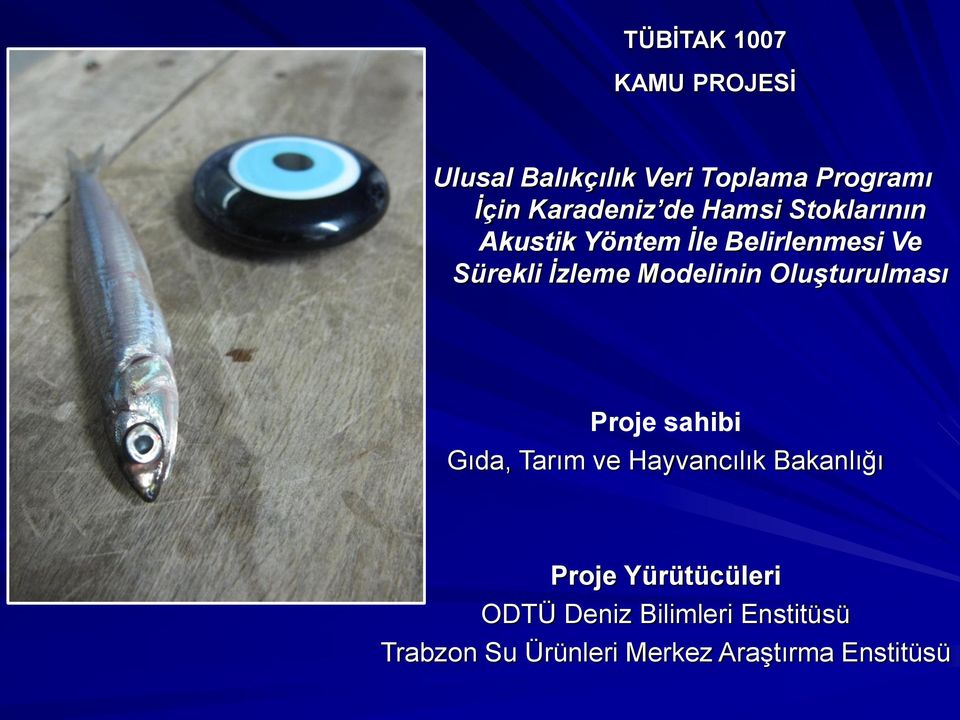 Oluşturulması Proje sahibi Gıda, Tarım ve Hayvancılık Bakanlığı Proje