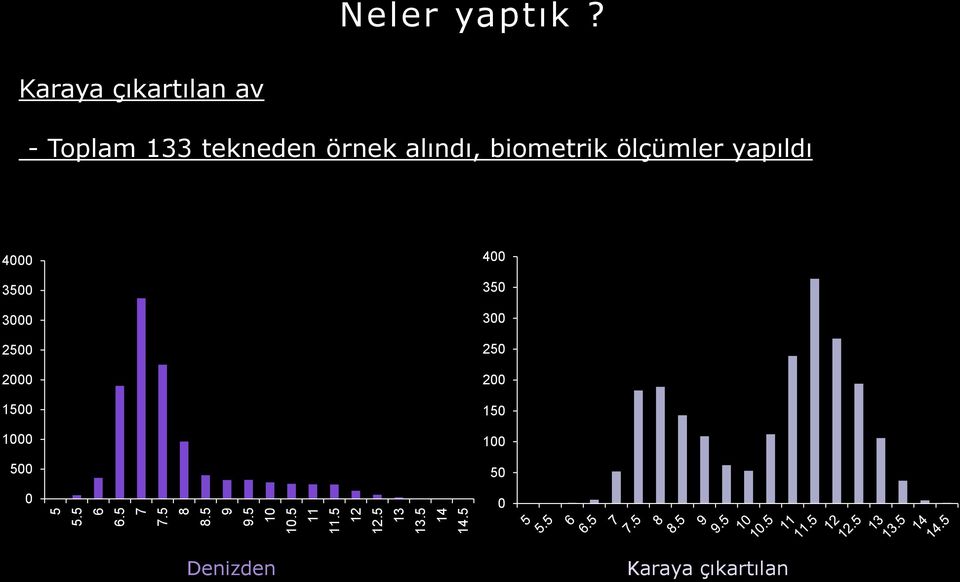 Karaya çıkartılan av - Toplam 133 tekneden örnek alındı, biometrik