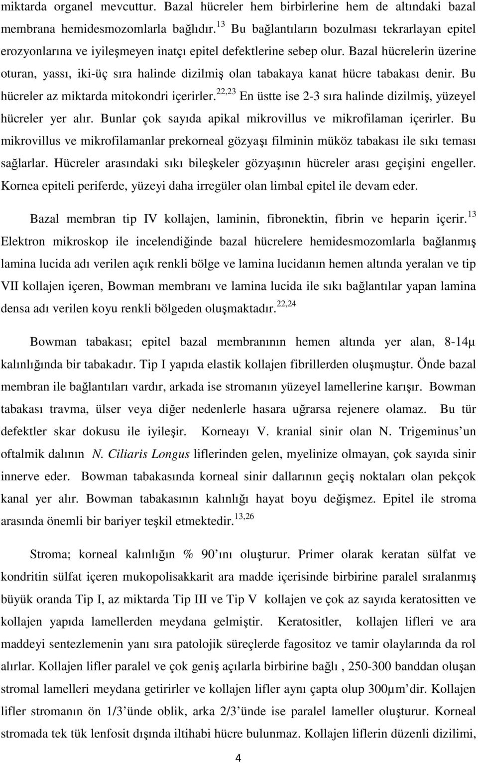 Bazal hücrelerin üzerine oturan, yassı, iki-üç sıra halinde dizilmiş olan tabakaya kanat hücre tabakası denir. Bu hücreler az miktarda mitokondri içerirler.