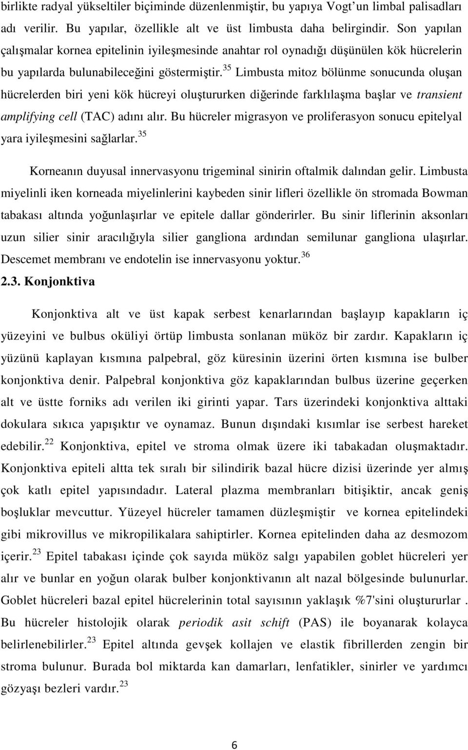 35 Limbusta mitoz bölünme sonucunda oluşan hücrelerden biri yeni kök hücreyi oluştururken diğerinde farklılaşma başlar ve transient amplifying cell (TAC) adını alır.