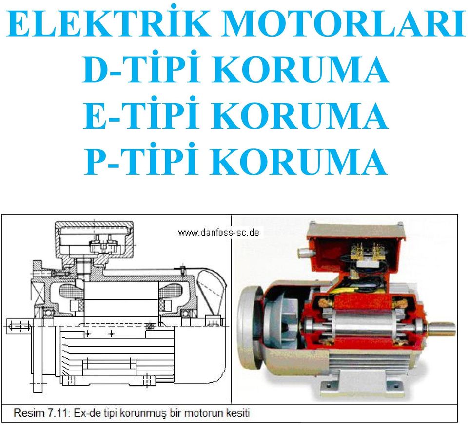 D-TİPİ KORUMA