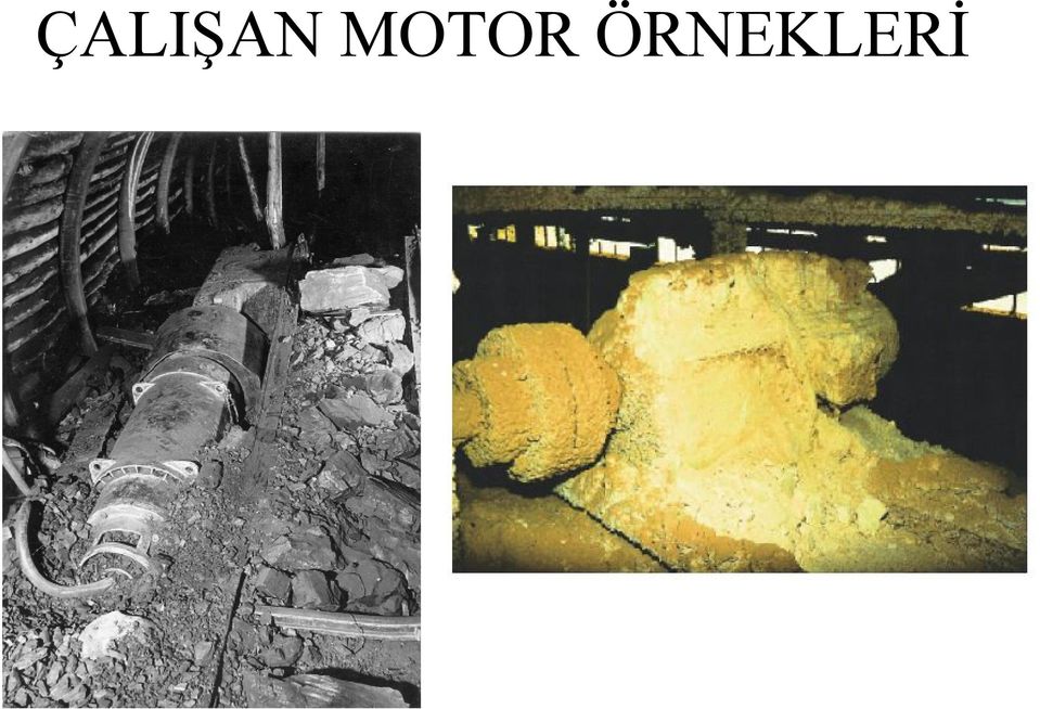 ÖRNEKLERİ