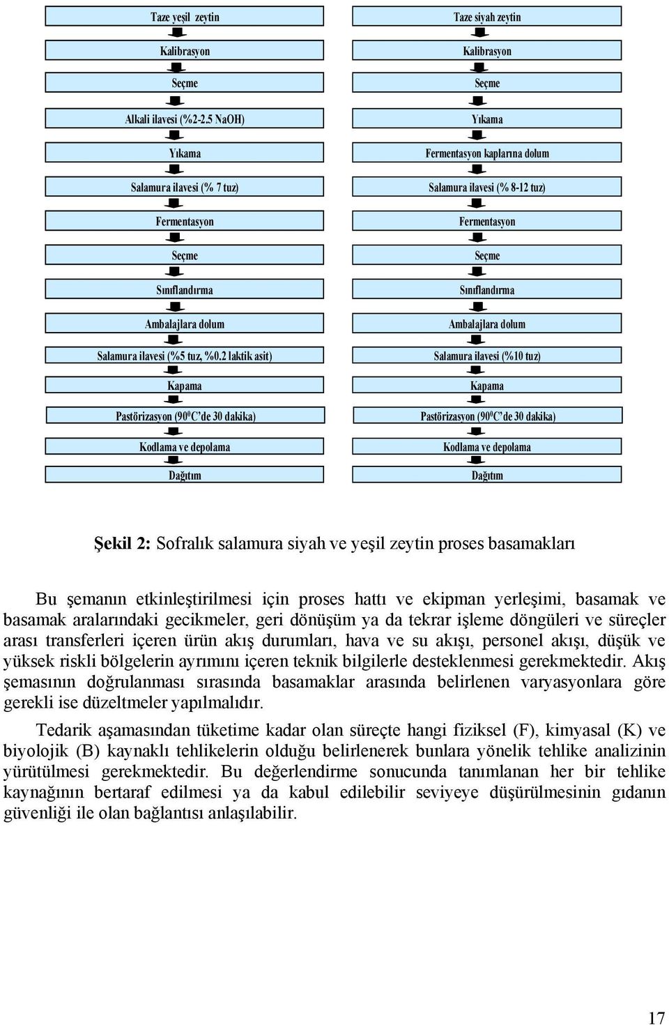 Seçme Sınıflandırma Ambalajlara dolum Salamura ilavesi (%10 tuz) apama Pastörizasyon (90 0 C de 30 dakika) odlama ve depolama Dağıtım Şekil 2: Sofralık salamura siyah ve yeşil zeytin proses