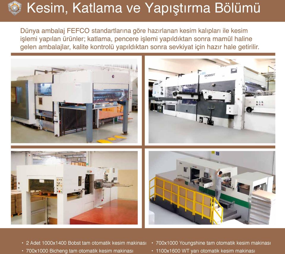 otomatik kesim makinası 700x1000 Youngshine tam