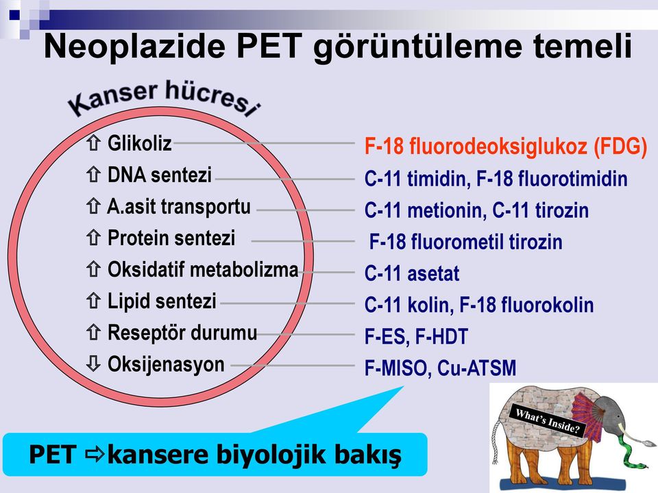 Oksijenasyon F-18 fluorodeoksiglukoz (FDG) C-11 timidin, F-18 fluorotimidin C-11 metionin,