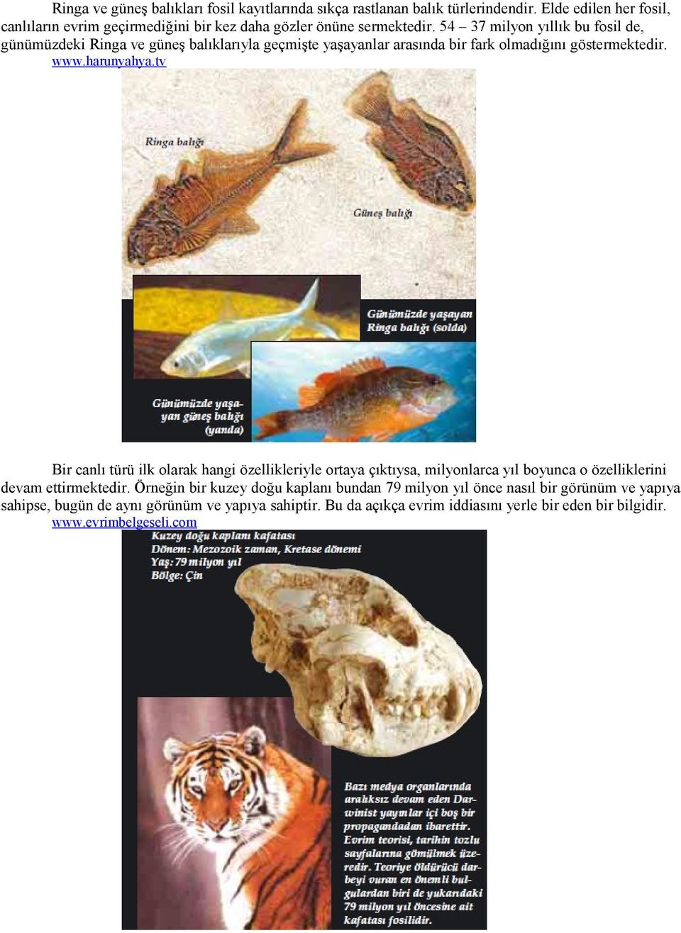 54 37 milyon yıllık bu fosil de, günümüzdeki Ringa ve güneş balıklarıyla geçmişte yaşayanlar arasında bir fark olmadığını göstermektedir. www.harunyahya.