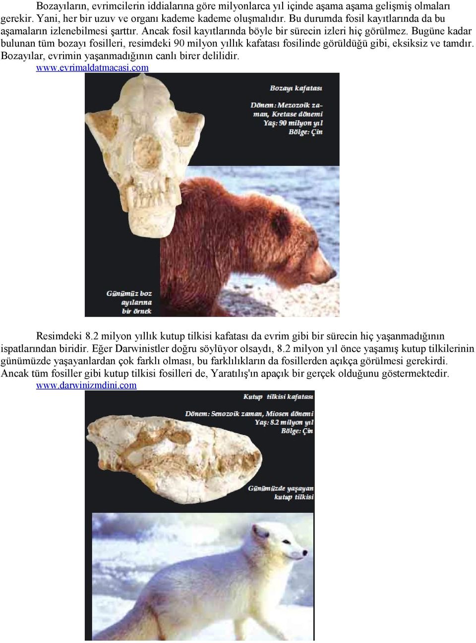 Bugüne kadar bulunan tüm bozayı fosilleri, resimdeki 90 milyon yıllık kafatası fosilinde görüldüğü gibi, eksiksiz ve tamdır. Bozayılar, evrimin yaşanmadığının canlı birer delilidir. www.
