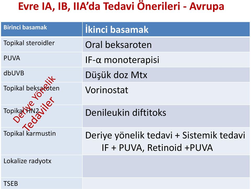 İkinci basamak Oral beksaroten IF α monoterapisi Düşük doz Mtx Vorinostat