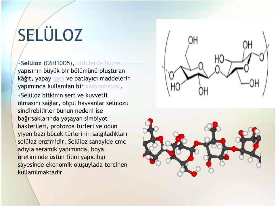 Selüloz bitkinin sert ve kuvvetli olmasını sağlar, otçul hayvanlar selülozu sindirebilirler bunun nedeni ise bağırsaklarında yaşayan