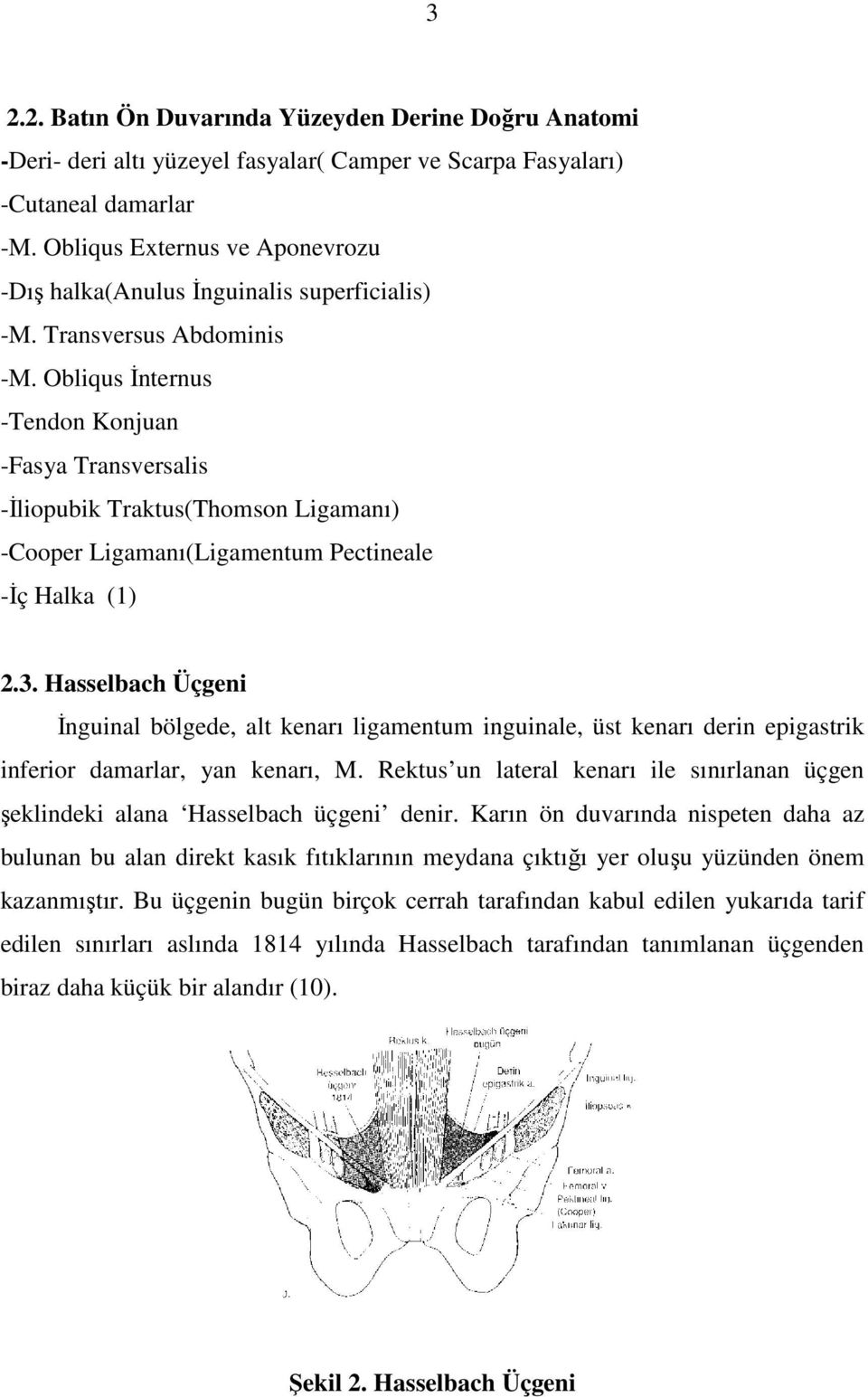 Obliqus İnternus -Tendon Konjuan -Fasya Transversalis -İliopubik Traktus(Thomson Ligamanı) -Cooper Ligamanı(Ligamentum Pectineale -İç Halka (1) 2.3.