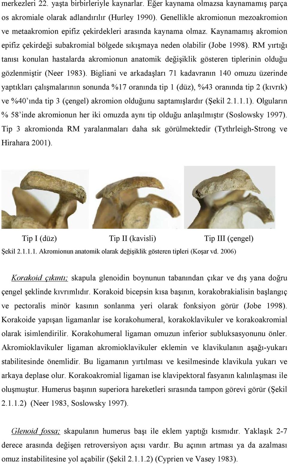 RM yırtığı tanısı konulan hastalarda akromionun anatomik değişiklik gösteren tiplerinin olduğu gözlenmiştir (Neer 1983).