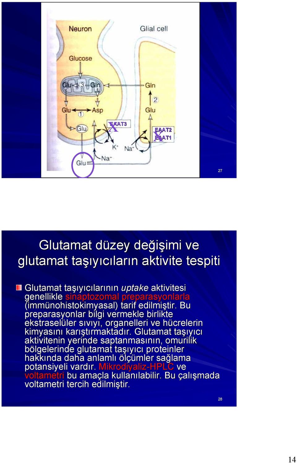 Bu preparasyonlar bilgi vermekle birlikte ekstraselüler sıvıyı, organelleri ve hücrelerin kimyasını karıştırmaktadır.