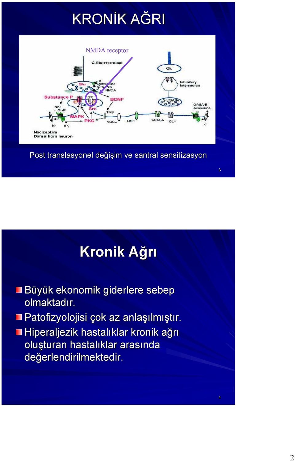 olmaktadır. Patofizyolojisi çok az anlaşılmıştır.