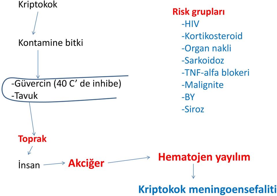 -Sarkoidoz -TNF-alfa blokeri -Malignite -BY -Siroz