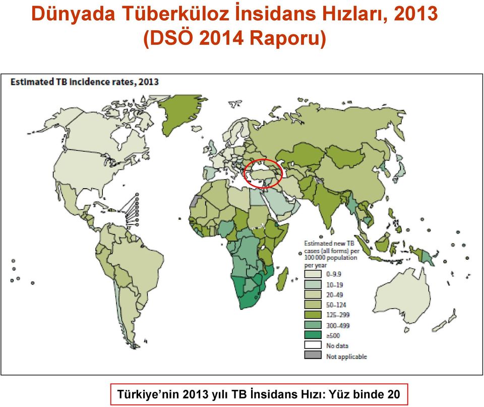 Raporu) Türkiye nin 2013