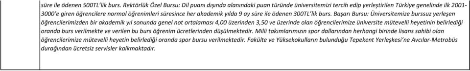 yılda 9 ay süre ile ödenen 600TL lik burs.