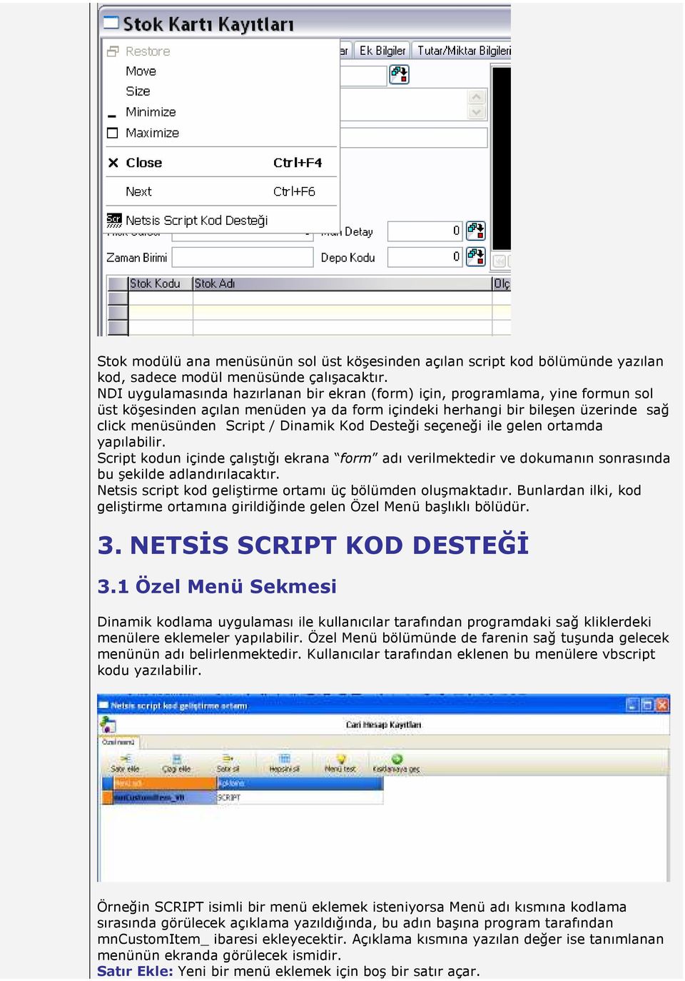 Kod Desteği seçeneği ile gelen ortamda yapılabilir. Script kodun içinde çalıştığı ekrana form adı verilmektedir ve dokumanın sonrasında bu şekilde adlandırılacaktır.