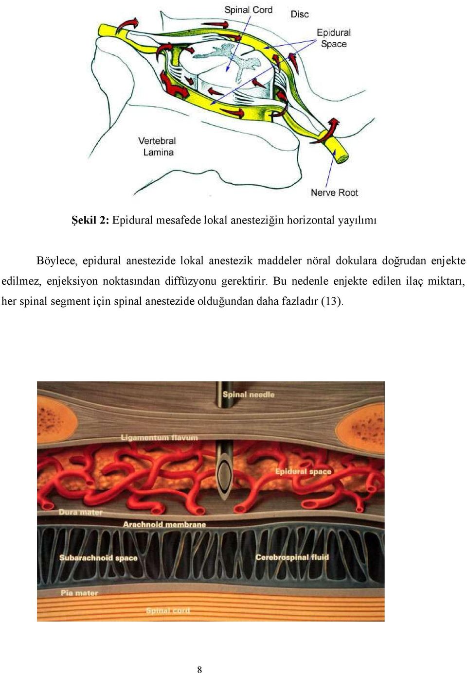 edilmez, enjeksiyon noktasından diffüzyonu gerektirir.