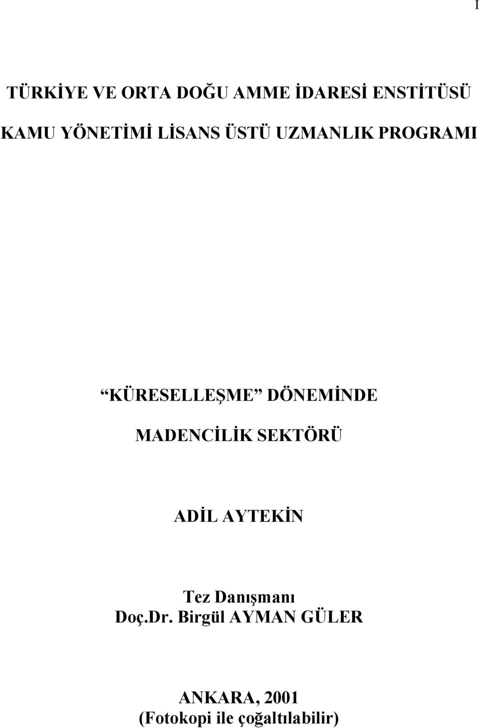 DÖNEMİNDE MADENCİLİK SEKTÖRÜ ADİL AYTEKİN Tez Danışmanı