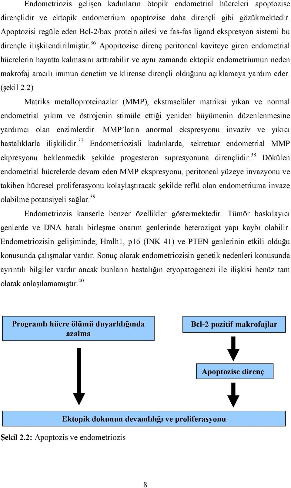 36 Apopitozise direnç peritoneal kaviteye giren endometrial hücrelerin hayatta kalmasını arttırabilir ve aynı zamanda ektopik endometriumun neden makrofaj aracılı immun denetim ve klirense dirençli