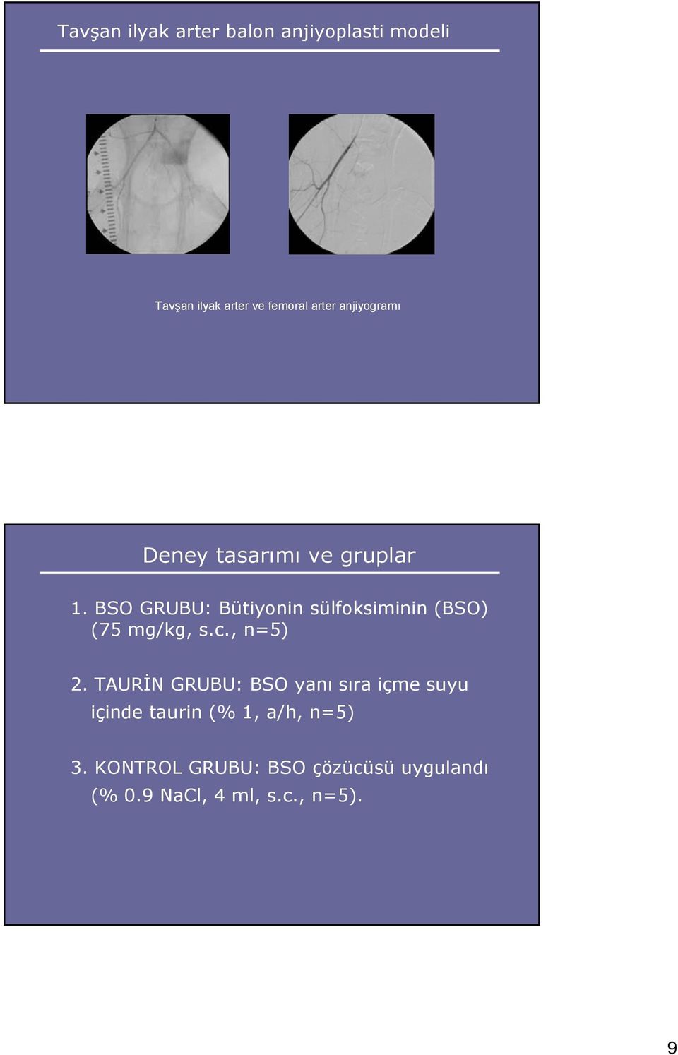 BSO GRUBU: Bütiyonin sülfoksiminin (BSO) (75 mg/kg, s.c., n=5) 2.