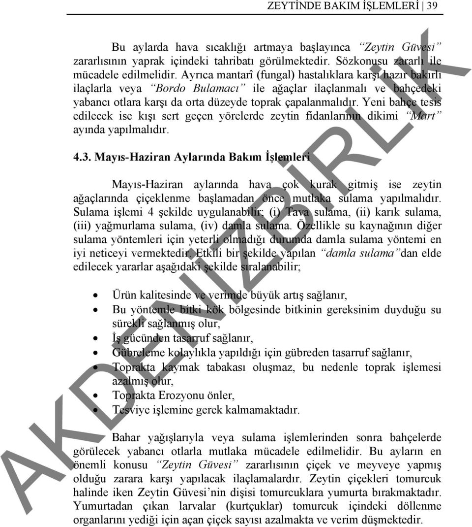 Yeni bahçe tesis edilecek ise kışı sert geçen yörelerde zeytin fidanlarının dikimi Mart ayında yapılmalıdır. 4.3.