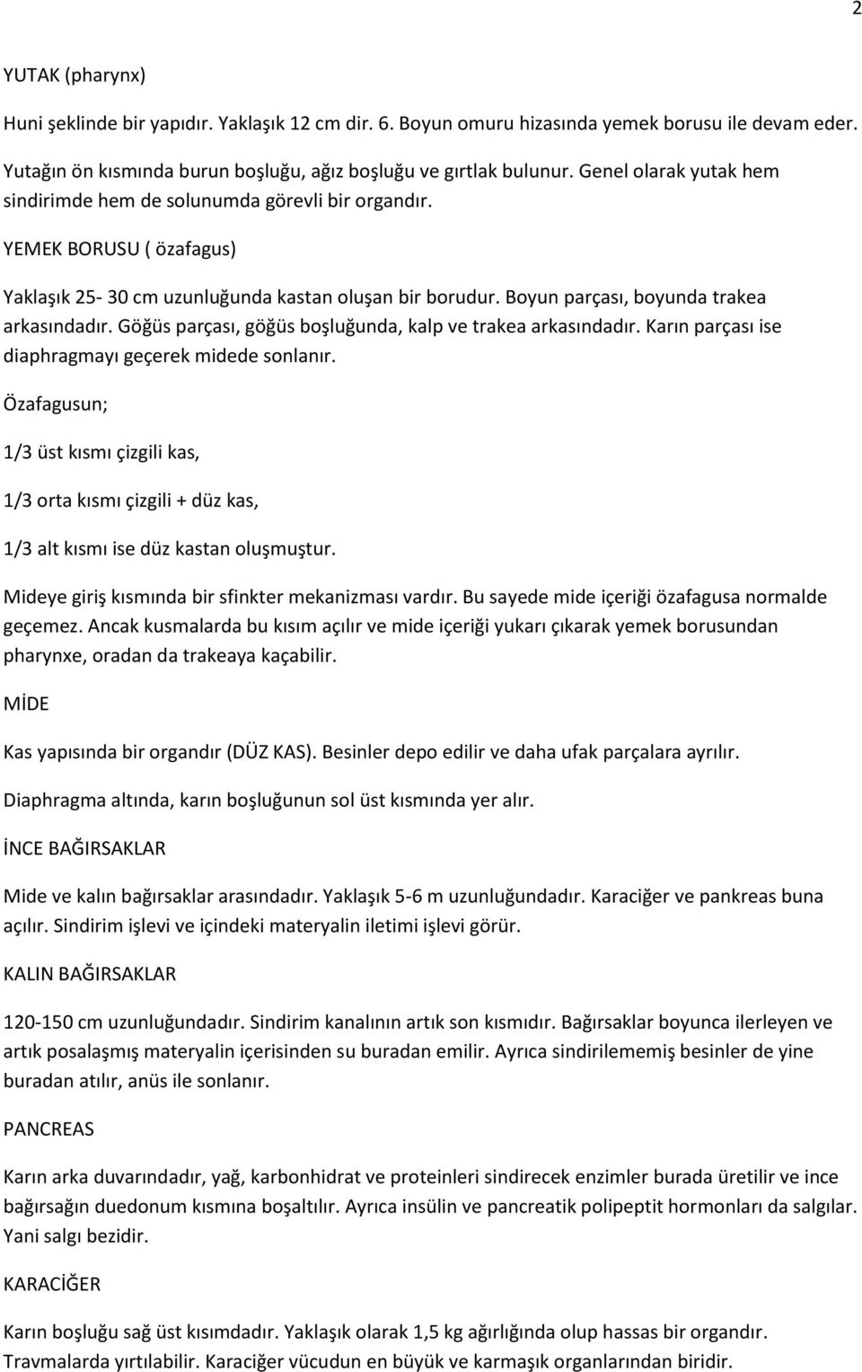 Göğüs parçası, göğüs boşluğunda, kalp ve trakea arkasındadır. Karın parçası ise diaphragmayı geçerek midede sonlanır.