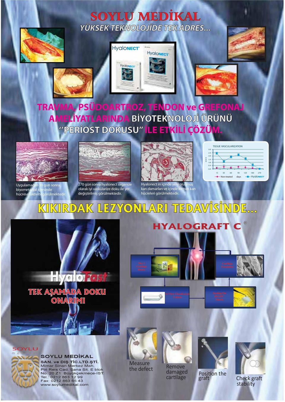 270 gün sonra hyalonect organize olarak iyi vaskülarize doku ile yer değiştirilmiş görülmektedir. Hyalonect in içinde yeni oluşmuş kan damarları ve içinde kırmızı kan hücreleri görülmektedir.