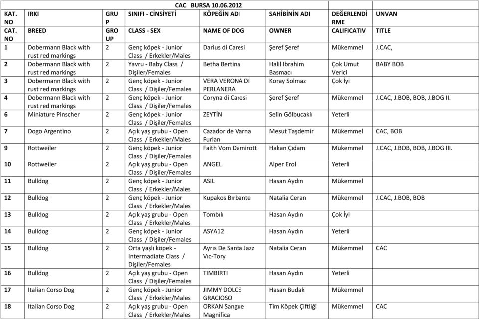 CAC, 2 Dobermann Black with 2 Yavru - Baby Class / Betha Bertina Halil Ibrahim Çok Umut BABY BOB Basmacı 3 Dobermann Black with 2 Genç köpek - Junior VERA VERONA Dİ Koray Solmaz Çok İyi PERLANERA 4