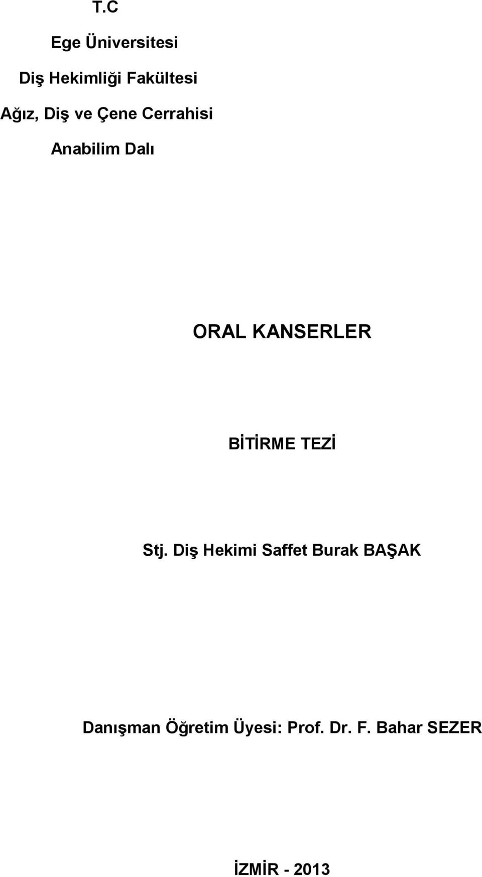 BİTİRME TEZİ Stj.