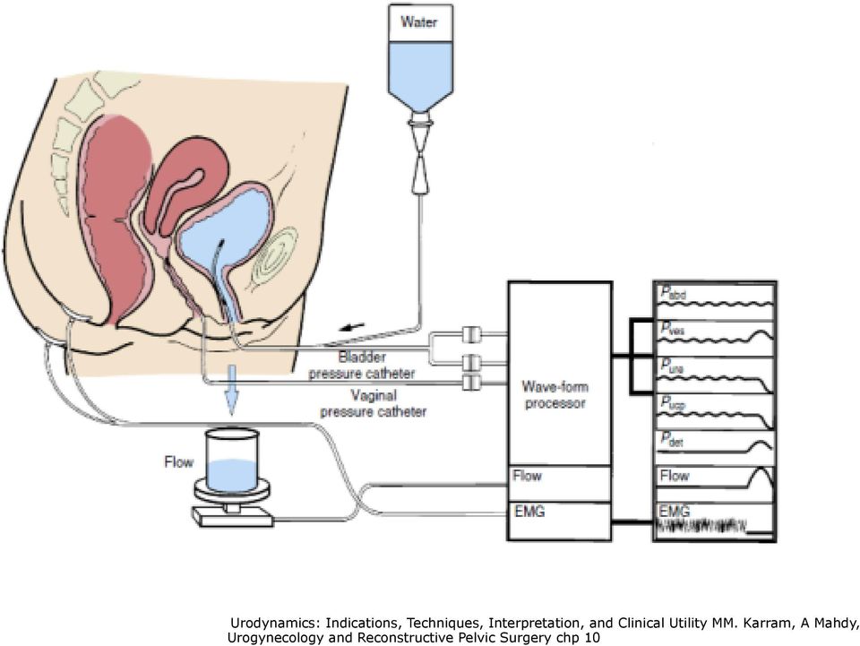 MM. Karram, A Mahdy, Urogynecology