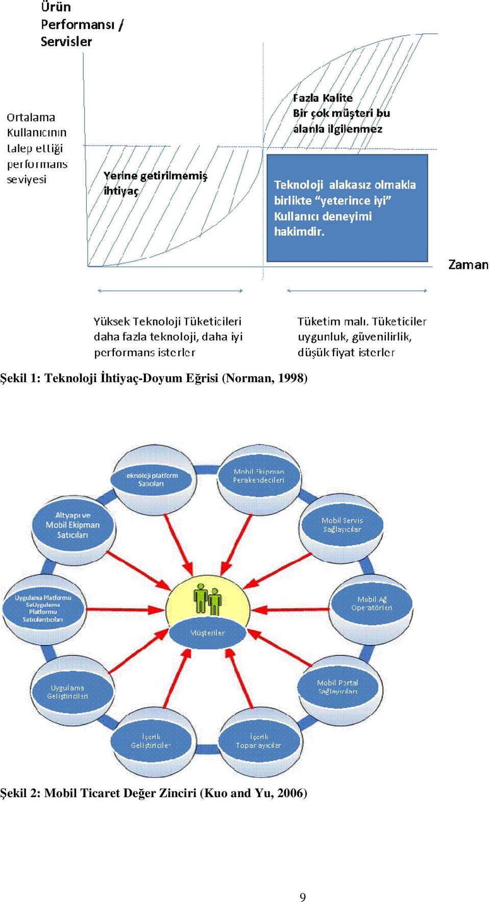 (Norman, 1998) Şekil 2: