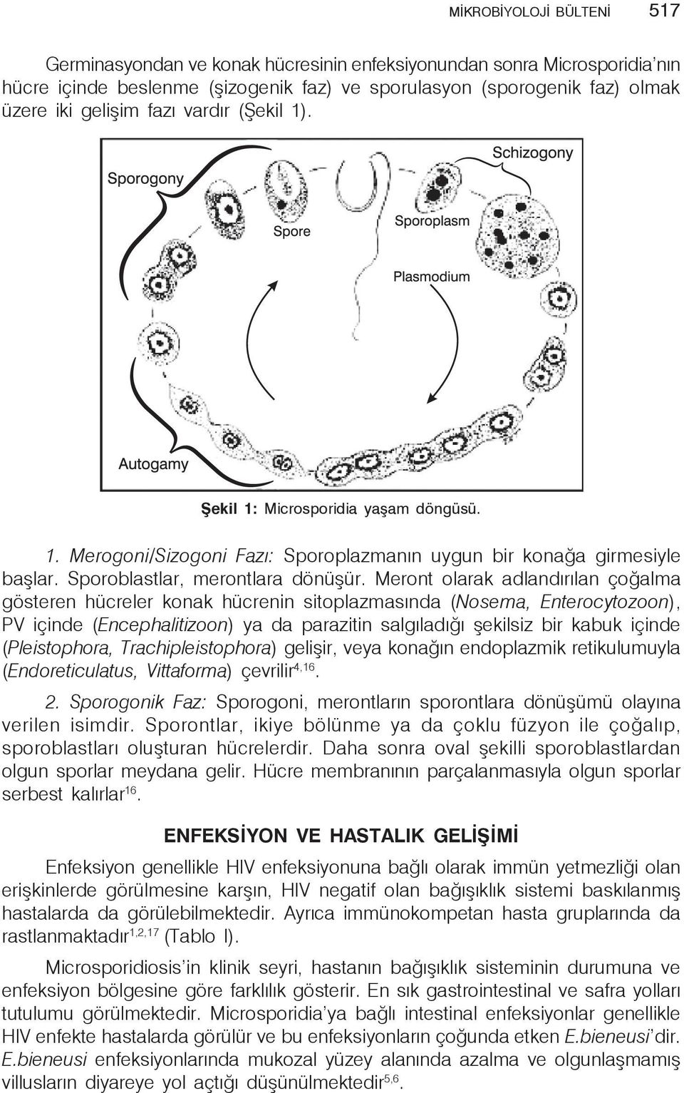 Meront olarak adlandırılan çoğalma gösteren hücreler konak hücrenin sitoplazmasında (Nosema, Enterocytozoon), PV içinde (Encephalitizoon) ya da parazitin salgıladığı şekilsiz bir kabuk içinde