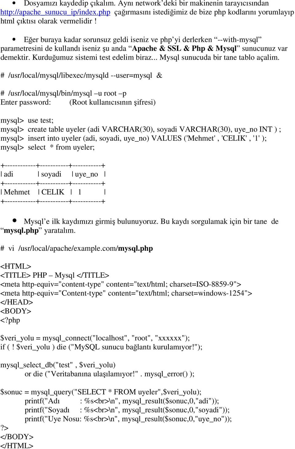 Kurduğumuz sistemi test edelim biraz... Mysql sunucuda bir tane tablo açalim.