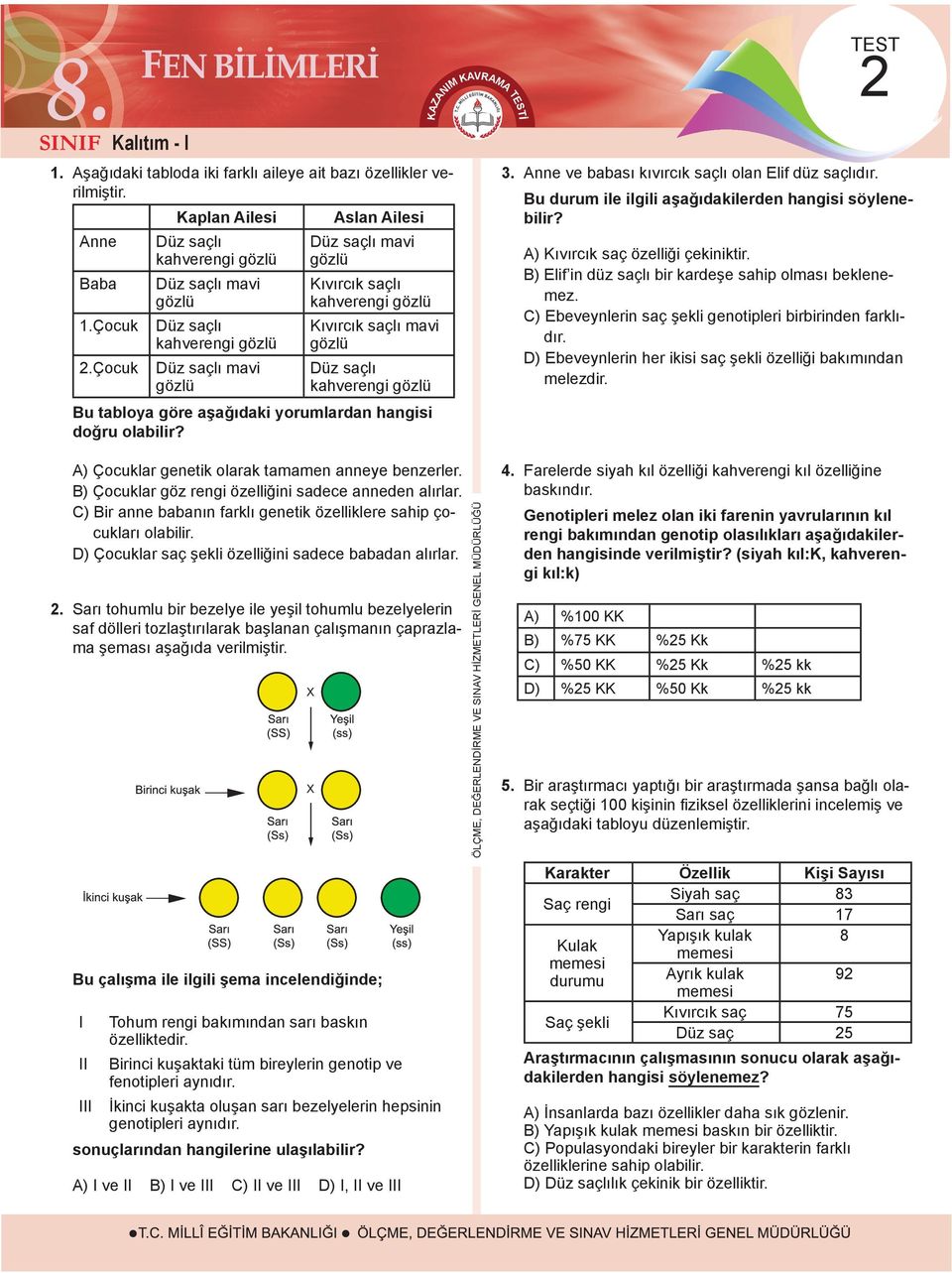 gözlü Düz saçlı kahverengi gözlü Bu tabloya göre aşağıdaki yorumlardan hangisi doğru olabilir? AZANI AVRAA TEST TEST 2 3. Anne ve babası kıvırcık saçlı olan Elif düz saçlıdır.