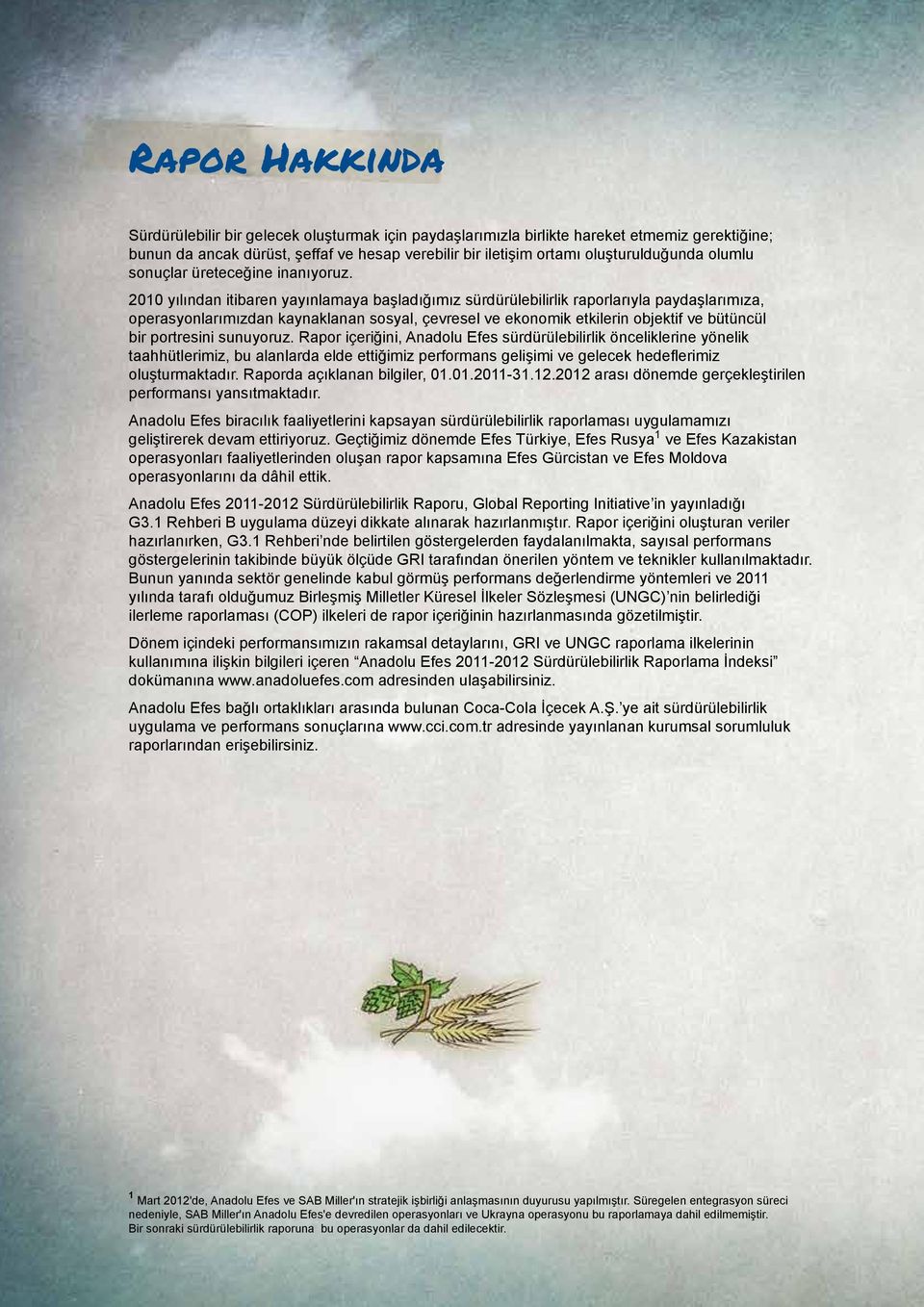 2010 yılından itibaren yayınlamaya başladığımız sürdürülebilirlik raporlarıyla paydaşlarımıza, operasyonlarımızdan kaynaklanan sosyal, çevresel ve ekonomik etkilerin objektif ve bütüncül bir